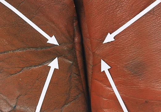 att rengöra läder och skinn på bäst sätt